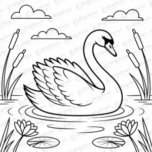 Bojanka Labud Labud pliva u jezeru