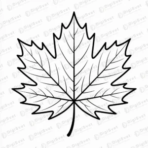 Bojanka List Javorov list