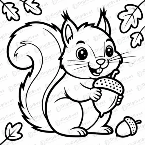 Bojanka Veverica Veverica drzi zir