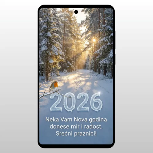 Čestitka Za Novu Godinu Zimska Staza Put kroz sumu obasjan suncem i snegom